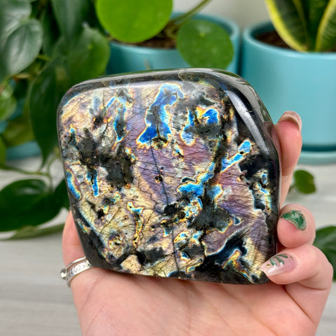 Intuitively Picked Labradorite Free Form