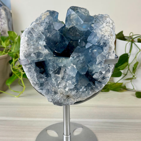 Glacier Blue Celestite Geode (W/ Custom Stand)