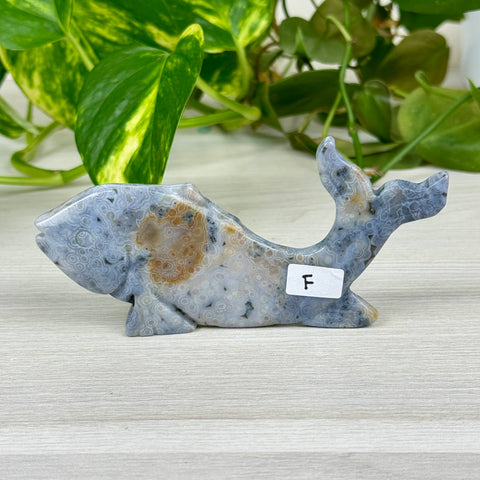 Ocean Jasper Fish Carving - F