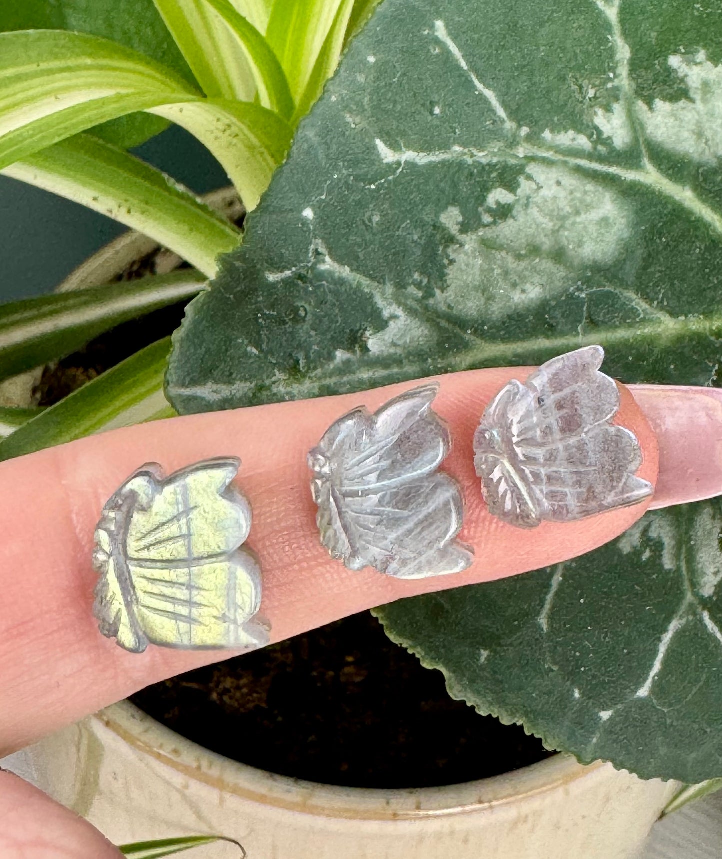 Mini AAA Labradorite Butterfly