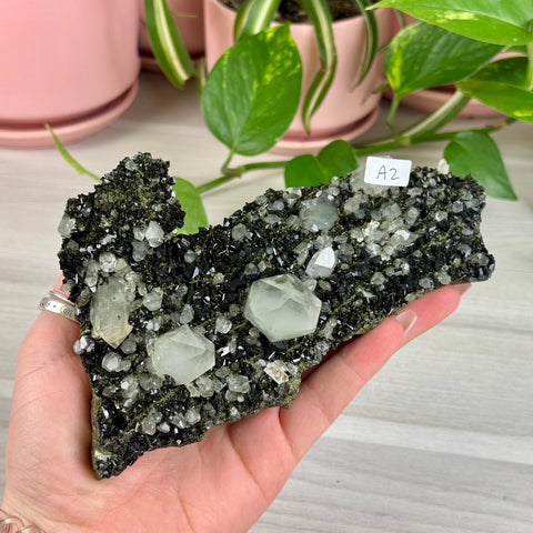Black Epidote & Chlorite Quartz Specimen (Forest Quartz)