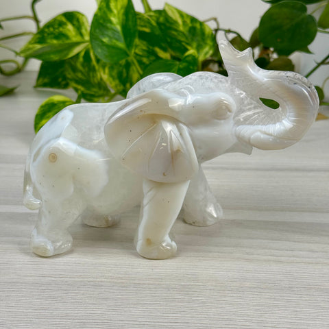 Statement Druzy Agate Elephant - Fiona
