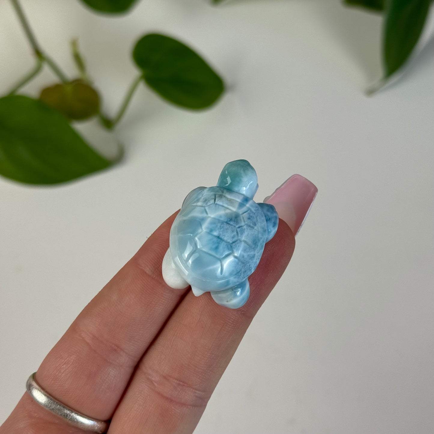 Small Larimar Turtle