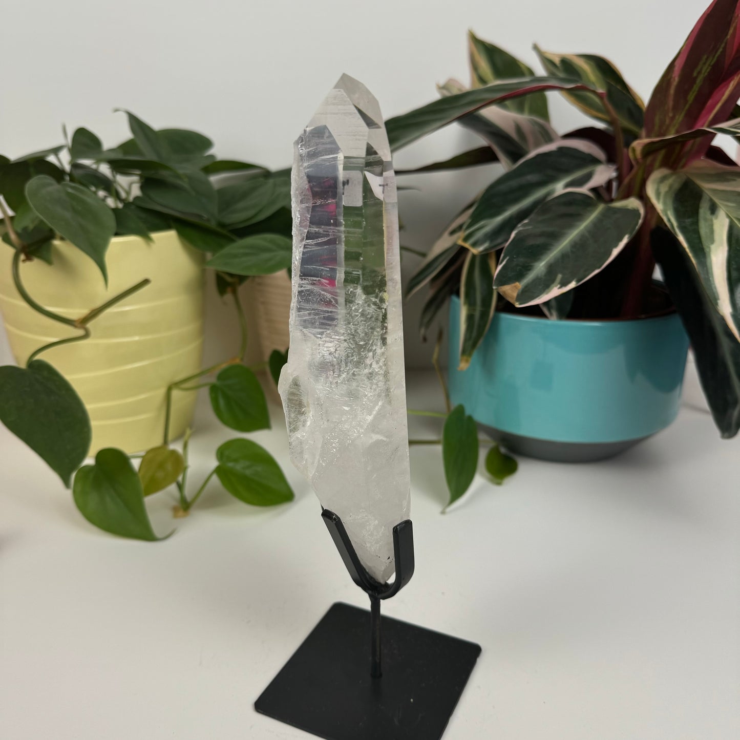 Incredible Lemurian Quartz (W/ Custom Stand) - T