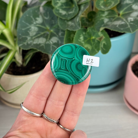 Malachite Cookie - H2