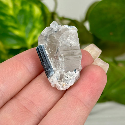 Indicolite Tourmaline Specimen