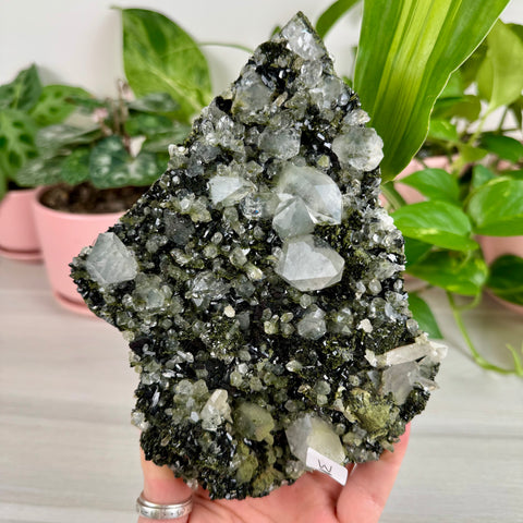 Black Epidote & Chlorite Quartz Specimen (Forest Quartz)