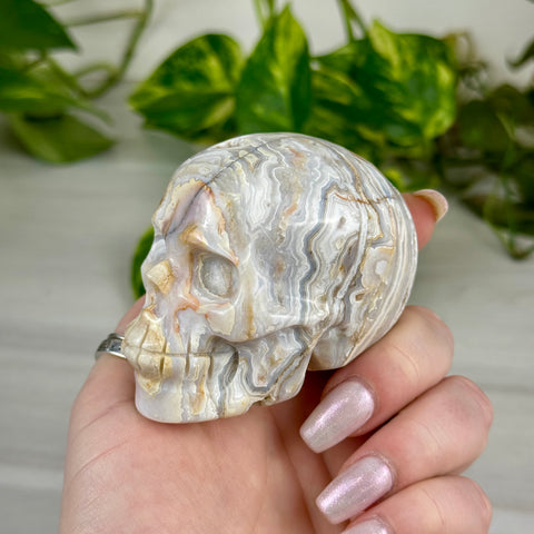 Crazy Lace Agate Skull