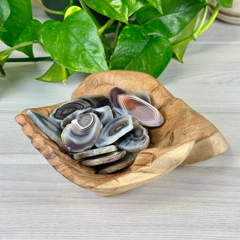 Botswana Agate Slice 11 2 - Kenna's Crystals from TikTok