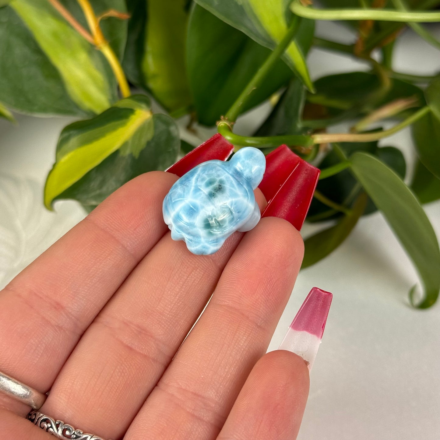 Mini Larimar Turtle