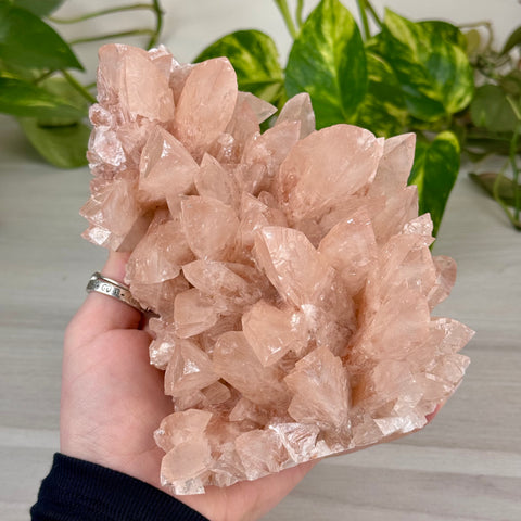 Swallowtail Calcite