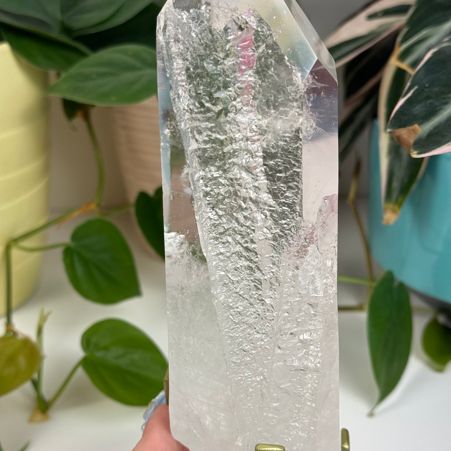 Incredible Lemurian Quartz (W/ Custom Stand) - D