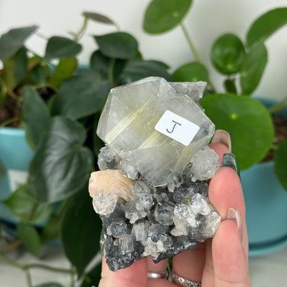 Black Chalcedony with Glossy Apophyllite