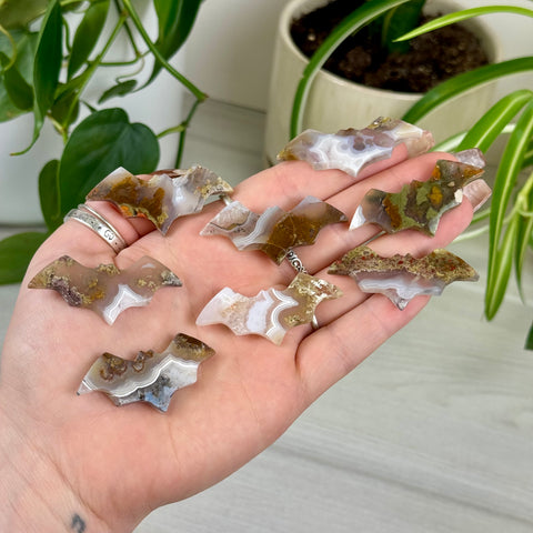 Scenic Moss Agate Bat