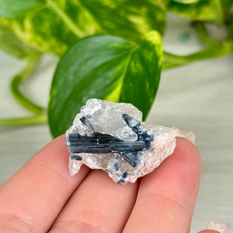 Indicolite Tourmaline Specimen