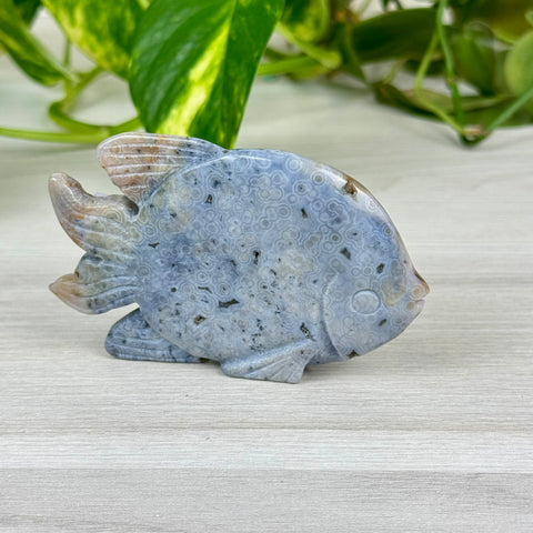 Ocean Jasper Fish Carving - D
