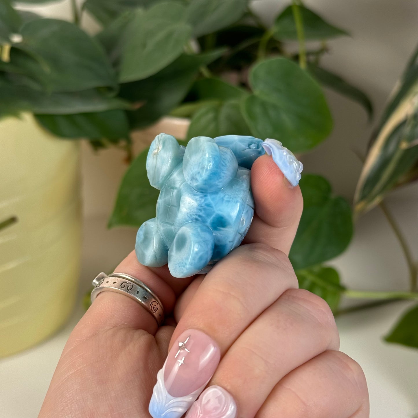 Large Larimar Turtle - M