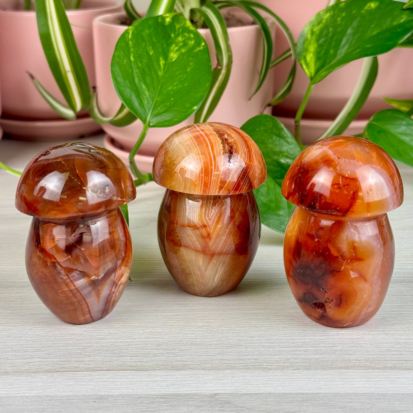 Carnelian Mushroom - Crystal Carving