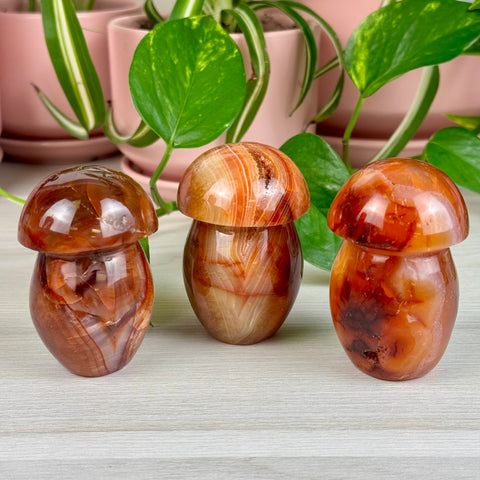 Carnelian Mushroom - Crystal Carving