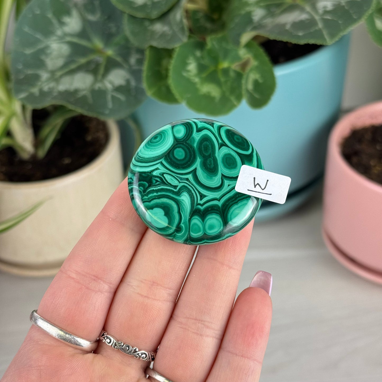 Malachite Cookie - W1