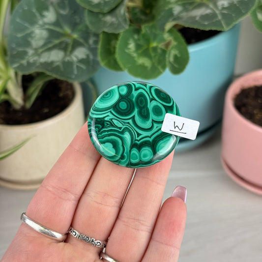 Malachite Cookie - W1
