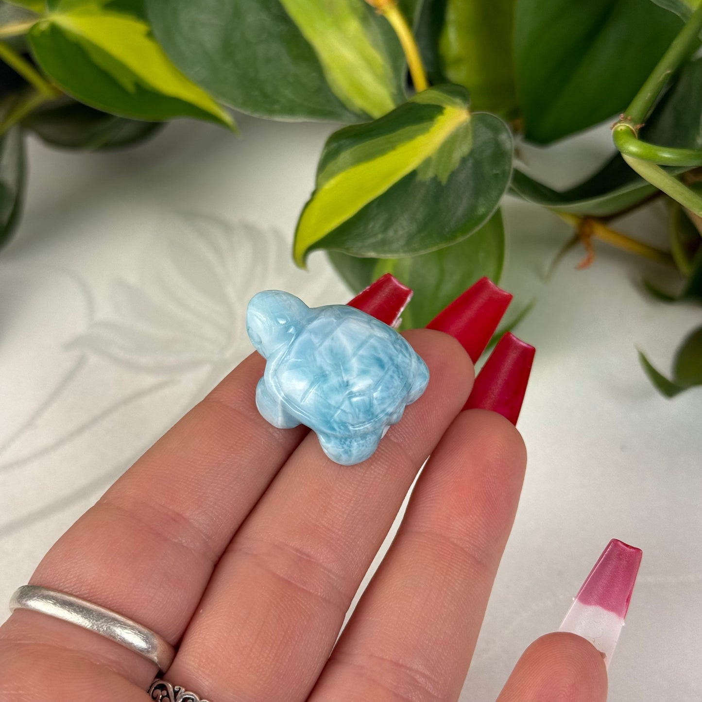 Mini Larimar Turtle