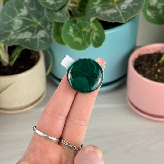 Malachite Cookie - W2