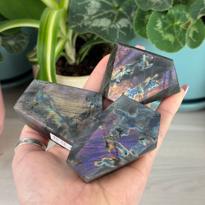 Spectrolite Free Form