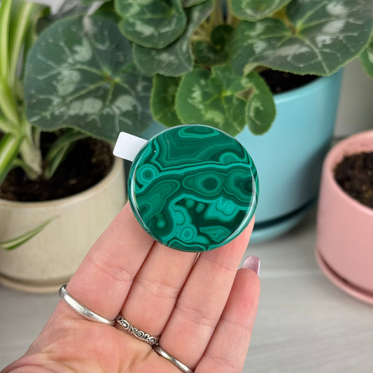 Malachite Cookie - T1