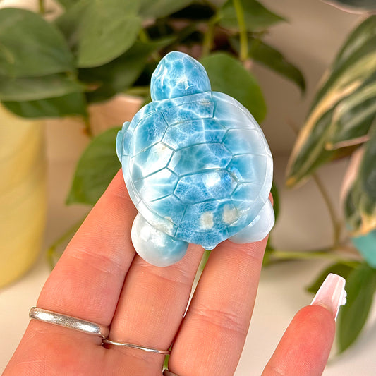 Large Larimar Turtle - A