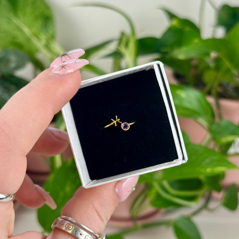 Gold Vermeil Adjustable Zodiac Ring