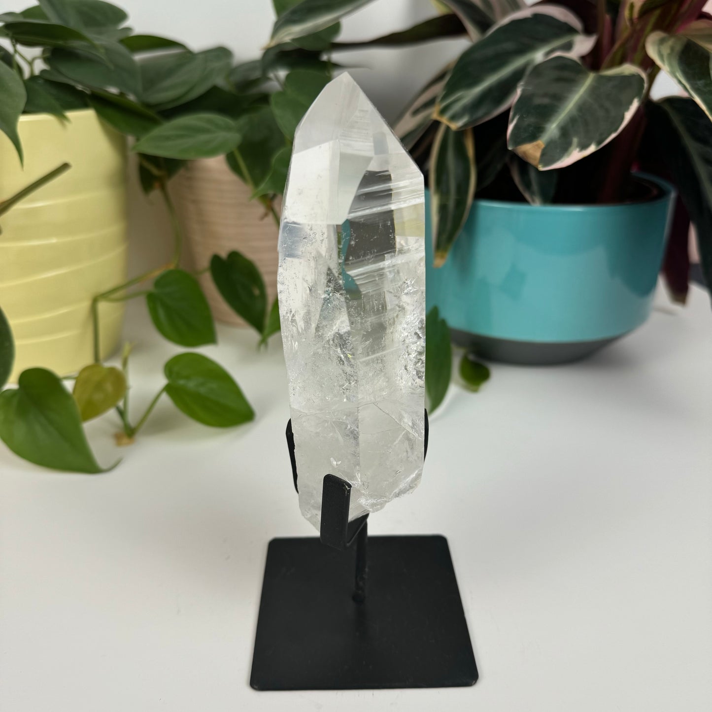 Incredible Lemurian Quartz (W/ Custom Stand) - P