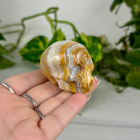 Mini Crazy Lace Agate Skull