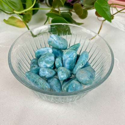 Blue & Green Larimar Tumble