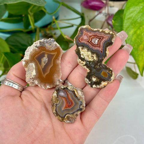 Laguna Agate