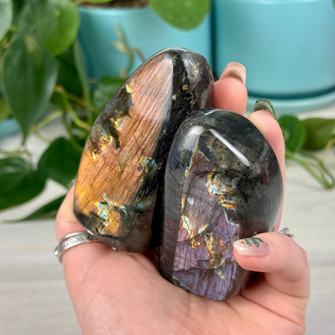 Intuitively Picked Labradorite Free Form