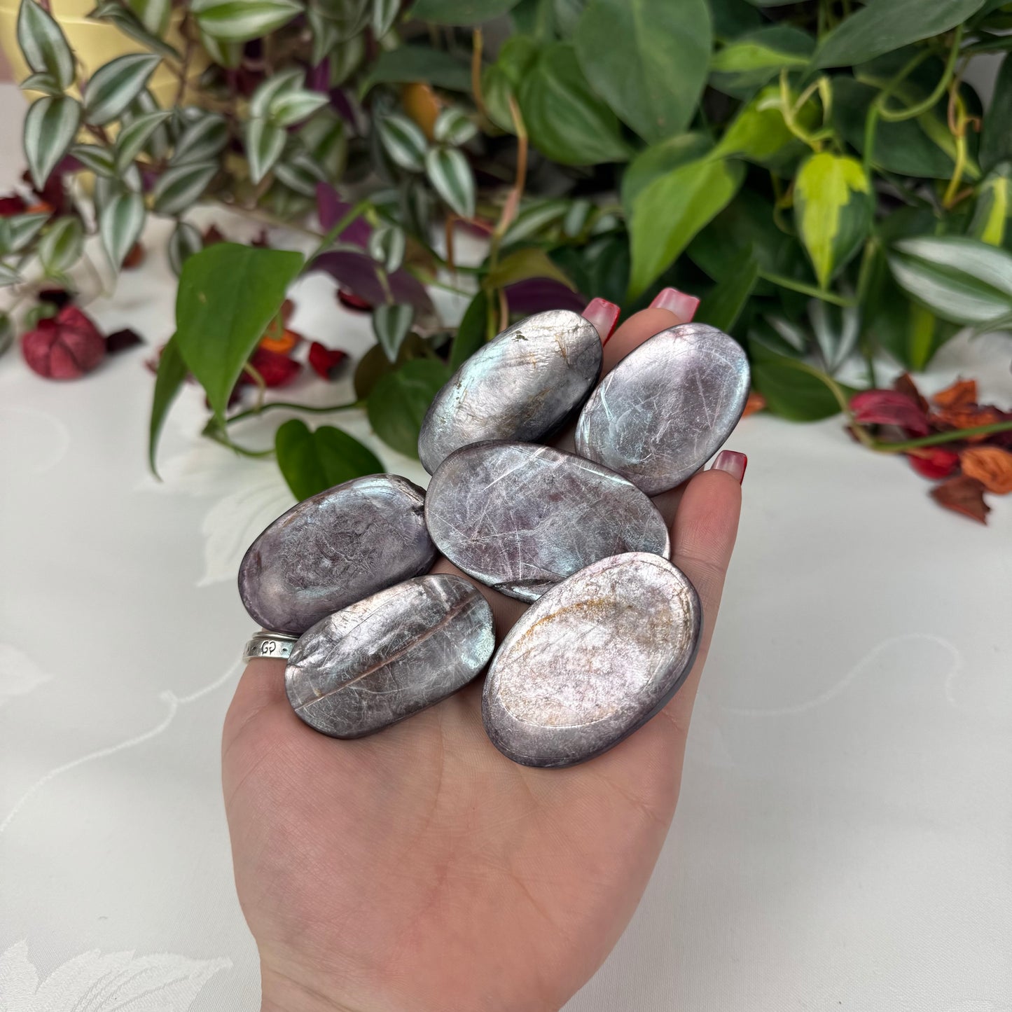 Lepidolite Palm Stone