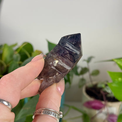 Enhydro Shangaan Amethyst