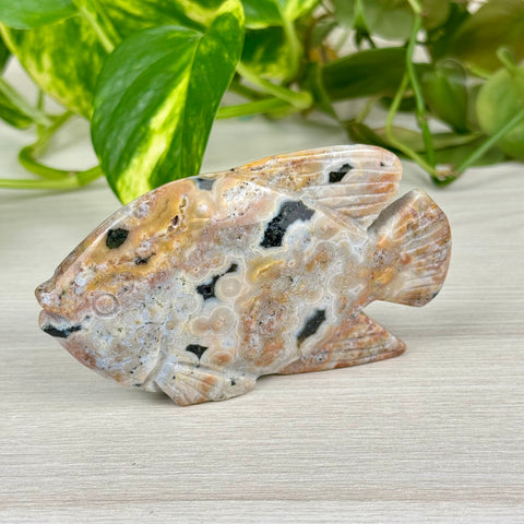 Ocean Jasper Fish Carving - C
