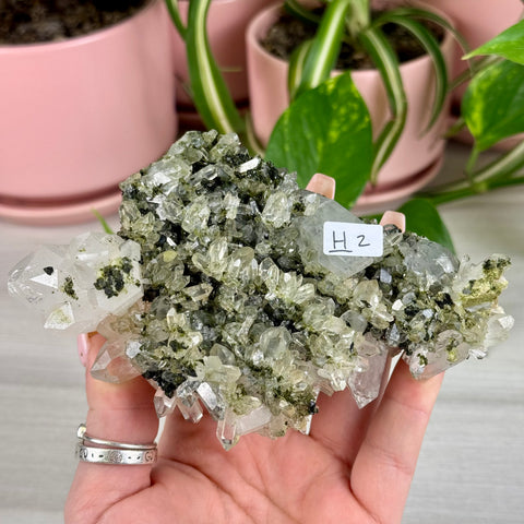 Black Epidote & Chlorite Quartz Specimen (Forest Quartz)