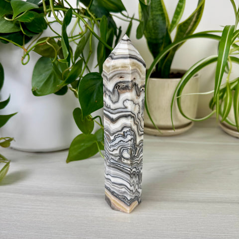 Zebra Jasper Tower