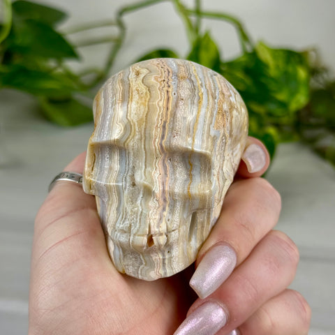 Crazy Lace Agate Skull