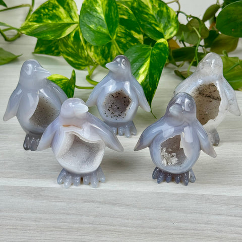Druzy Agate Penguin