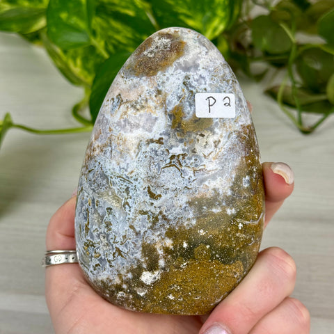 Sea Jasper Free Form