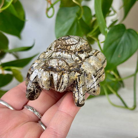 Painting Stone Spider