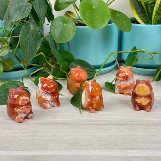 Evil Carnelian Capybara Carving