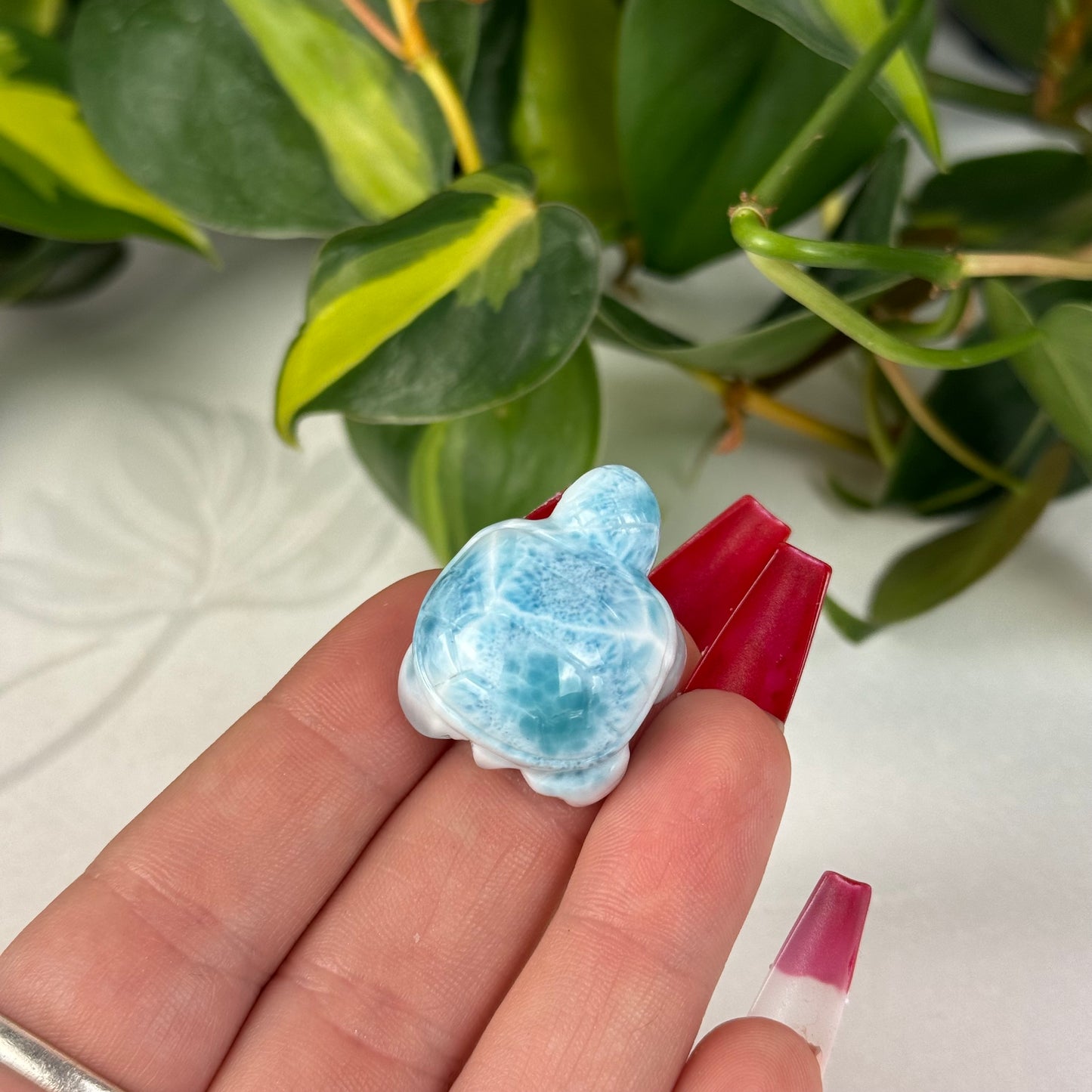 Mini Larimar Turtle