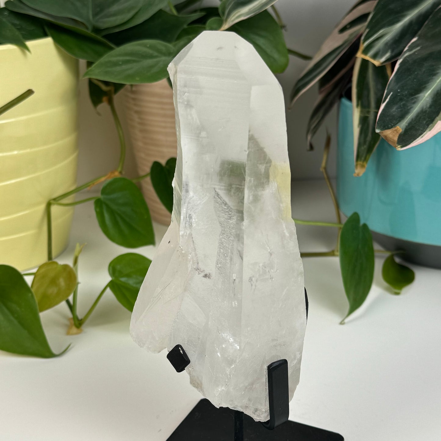 Incredible Lemurian Quartz (W/ Custom Stand) - M