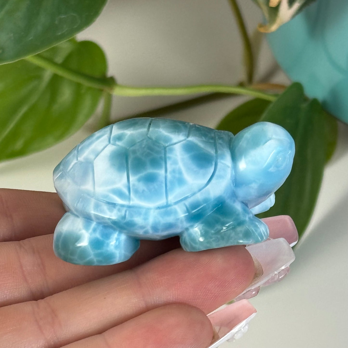 Large Larimar Turtle - B