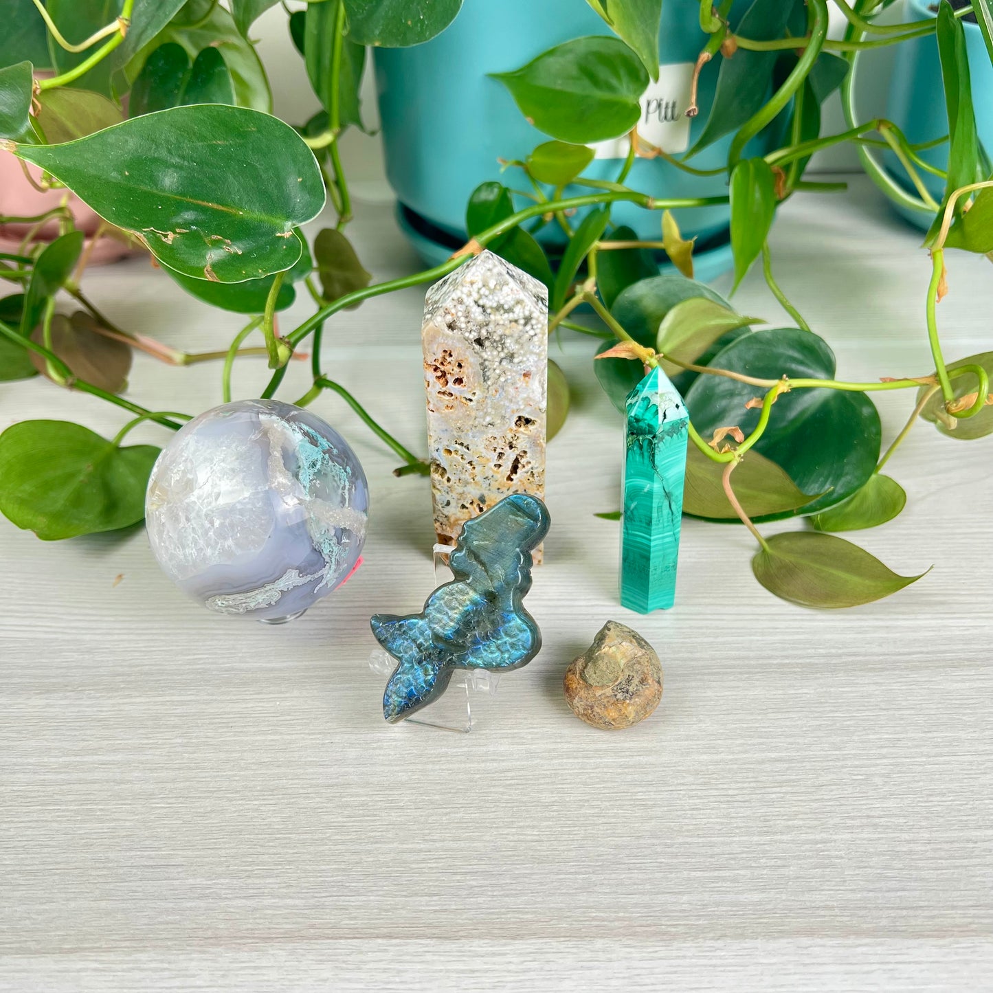 Mermaid's Playground Bundle